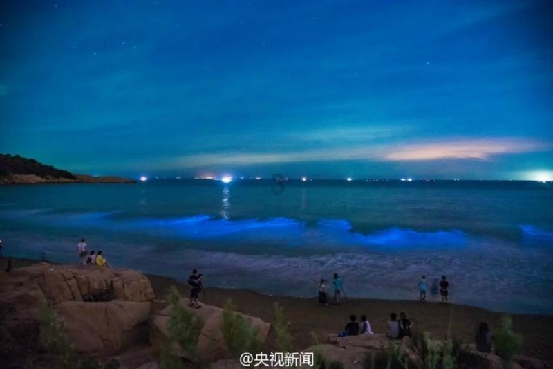 冰火人魔法森林大冒险2
